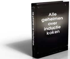 inductie kookplaat inductiekookplaat